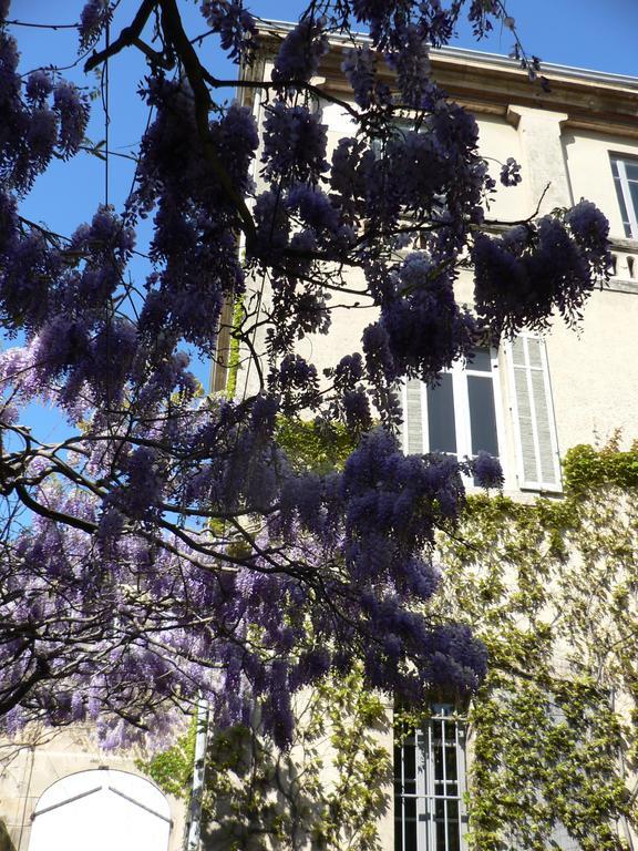 Chambres D'Hotes Maison Auguste Salon-de-Provence Luaran gambar